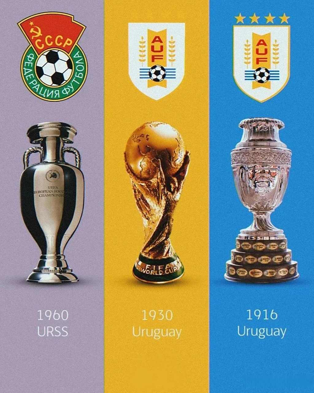 巴西排球队实力强大，夺得多项冠军